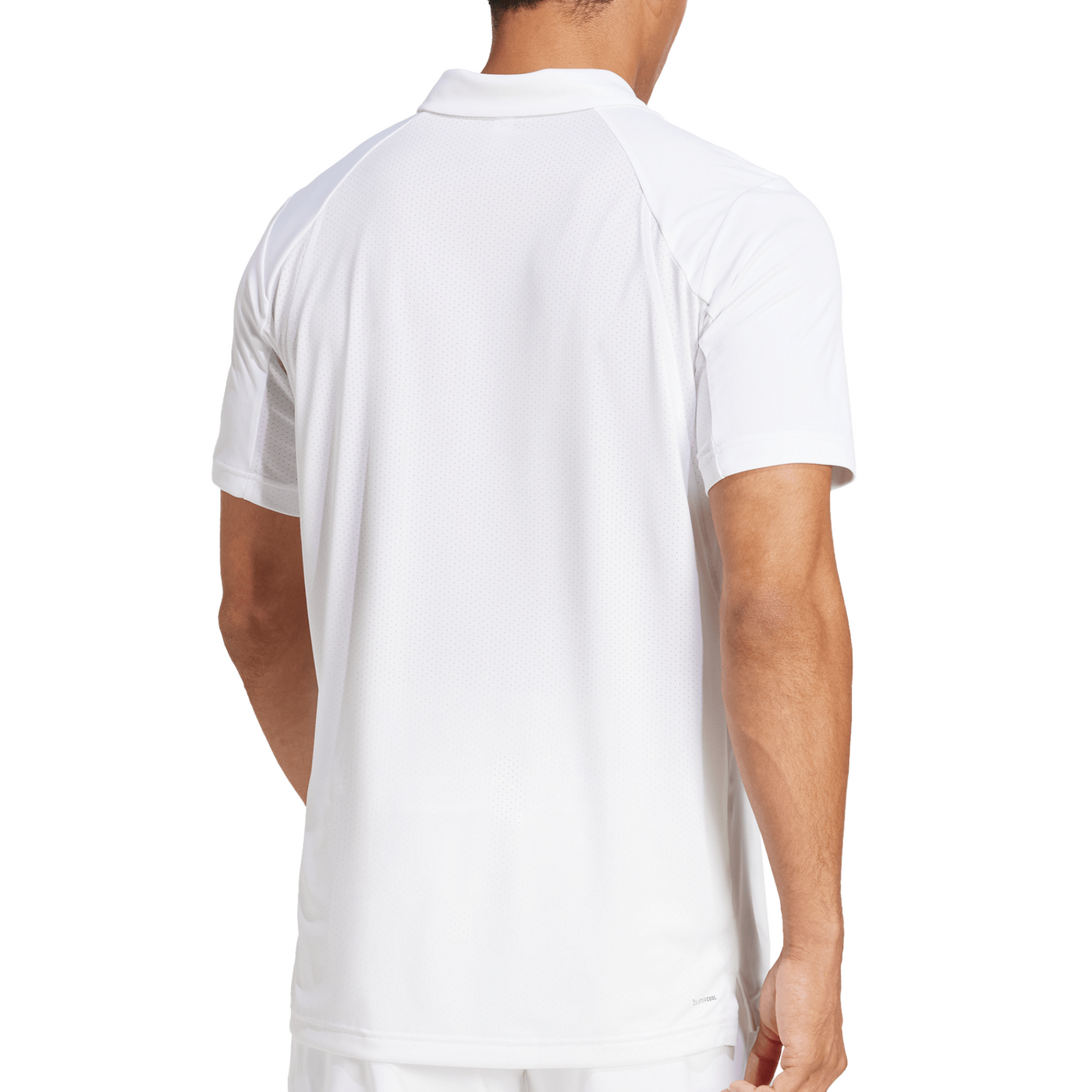 Adidas Club Tennis Men Polo Shirt - White
